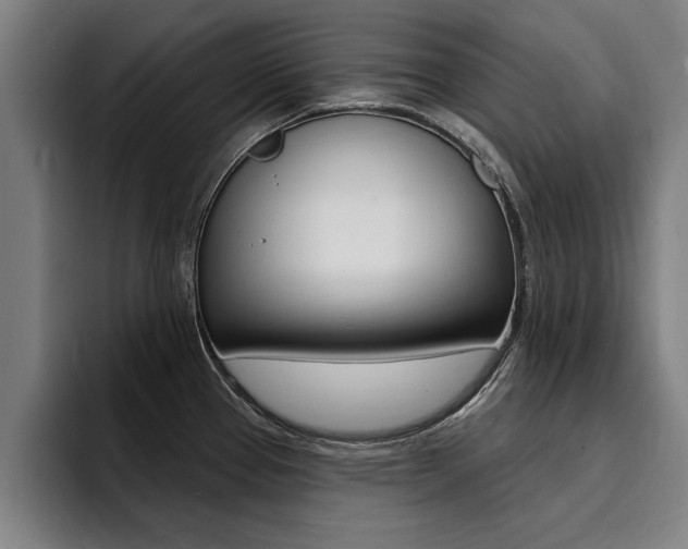 X0000094421337200711080951