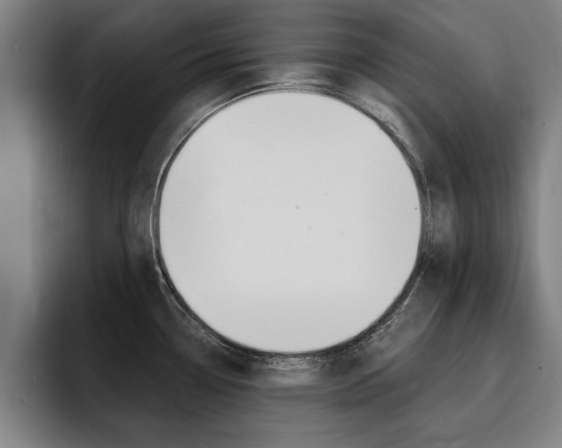 X0000094421338200711080951