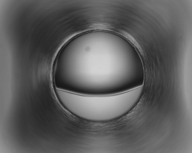 X0000094421339200711080951
