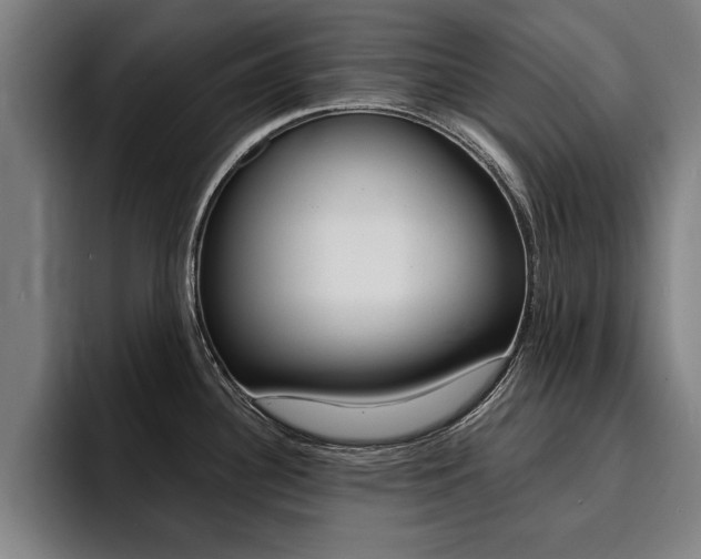 X0000094421340200711080951