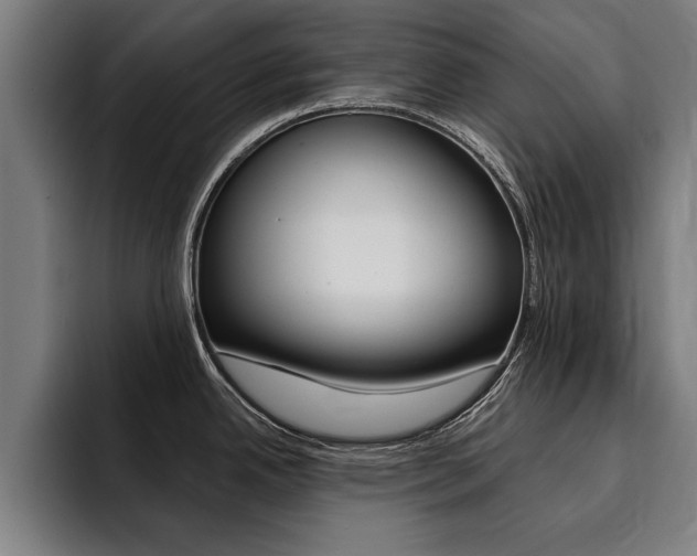 X0000094421342200711080951