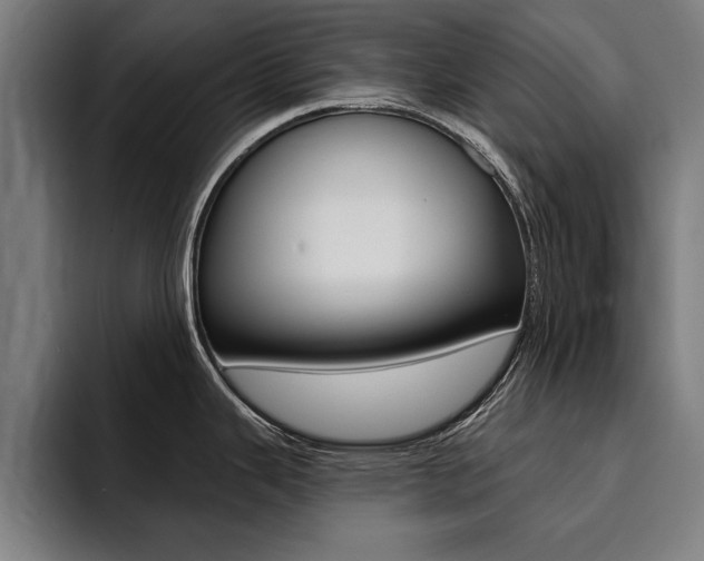 X0000094421343200711080951