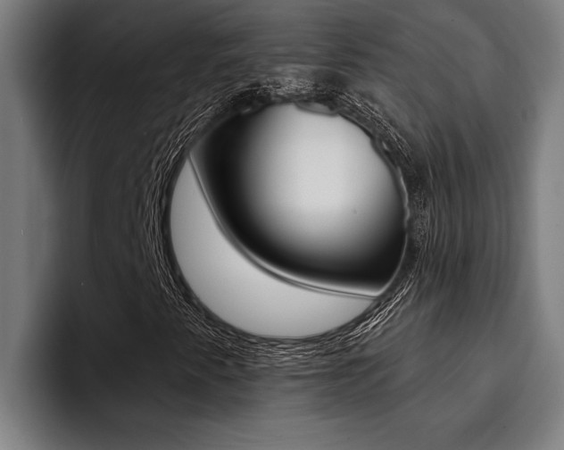 X0000094421345200711080950