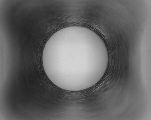 X0000094421348200711080950