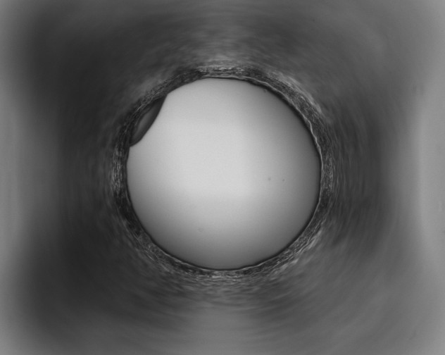 X0000094421350200711080950