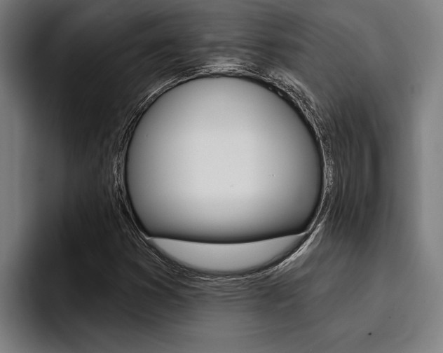 X0000094421353200711080950