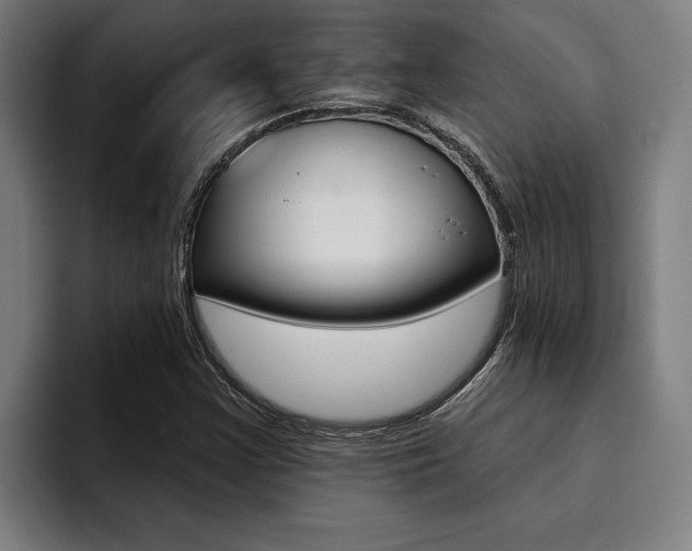 X0000094421355200711080950