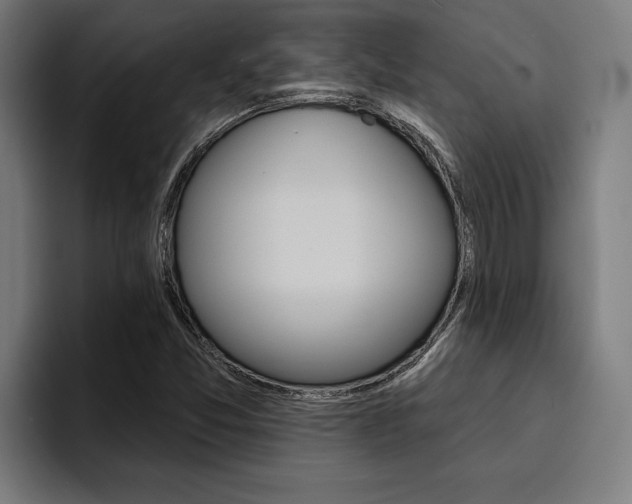 X0000094421357200711080950