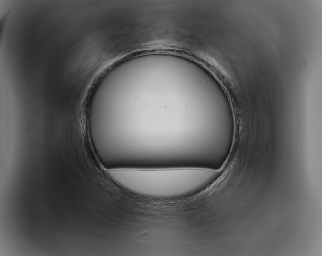 X0000094421358200711080950