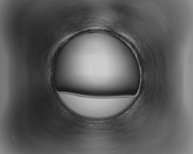 X0000094421359200711080950