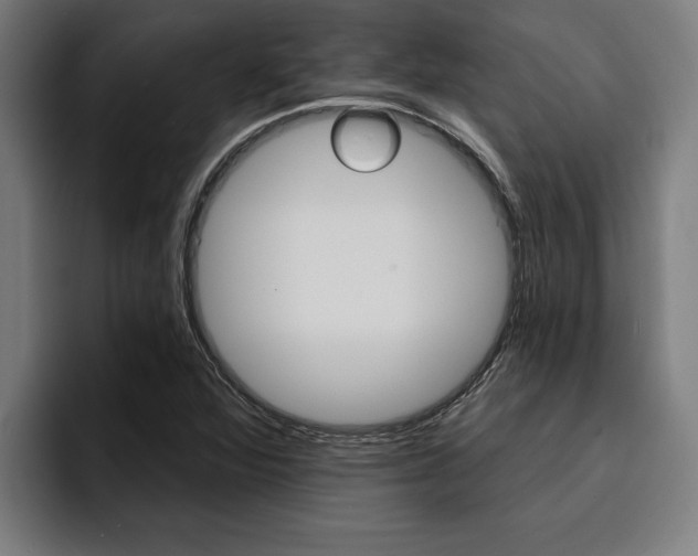 X0000094421360200711080950