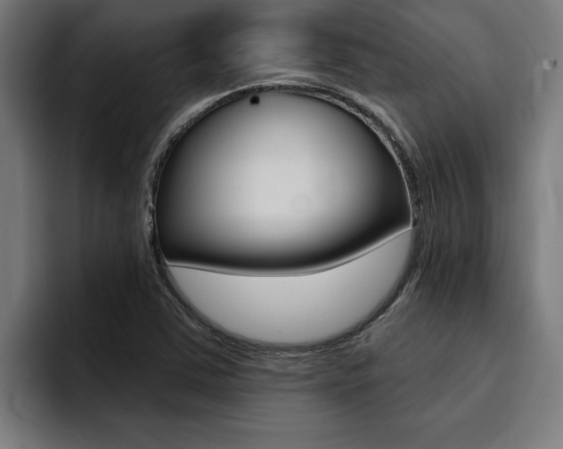 X0000094421363200711080950