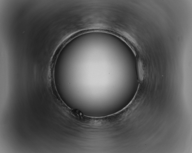 X0000094421364200711080950