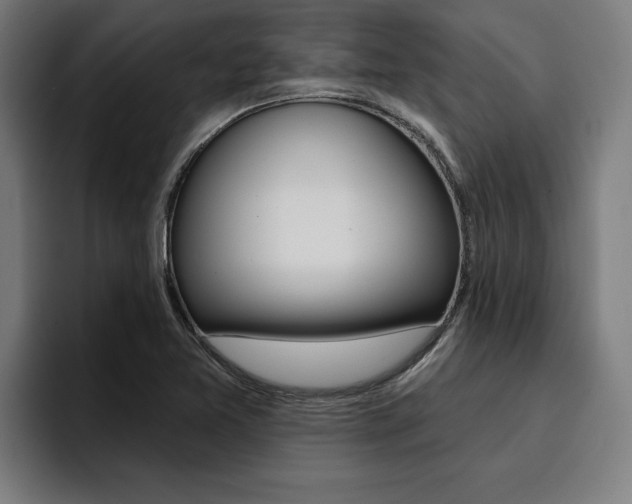 X0000094421365200711080950