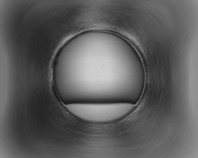 X0000094421366200711080950