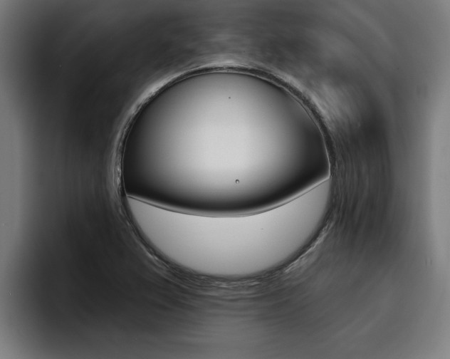 X0000094421367200711080950