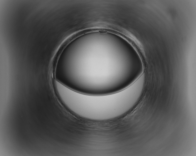 X0000094421368200711080950