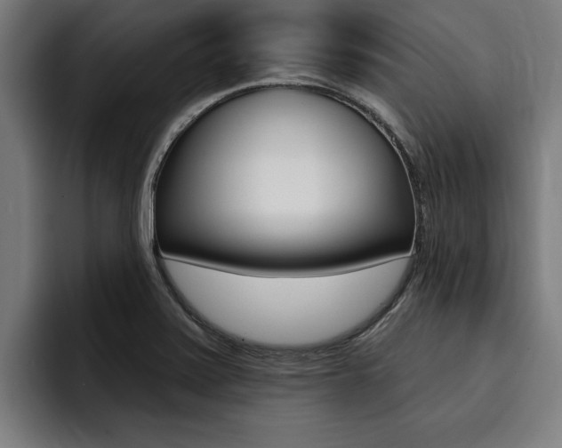X0000094421371200711080950
