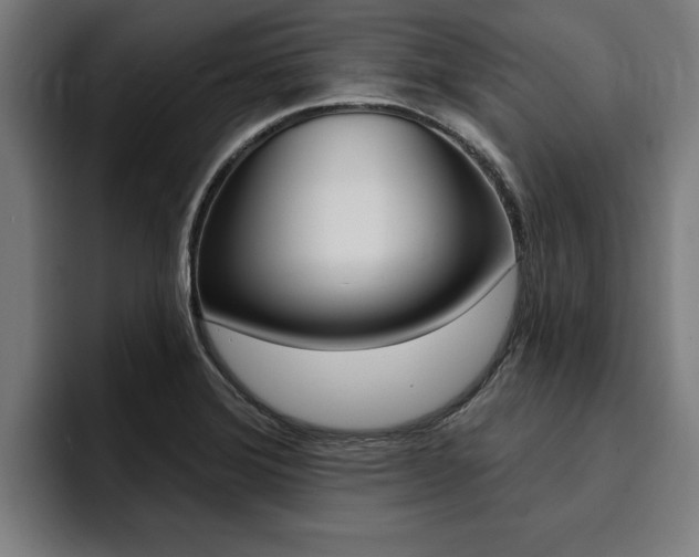 X0000094421372200711080950
