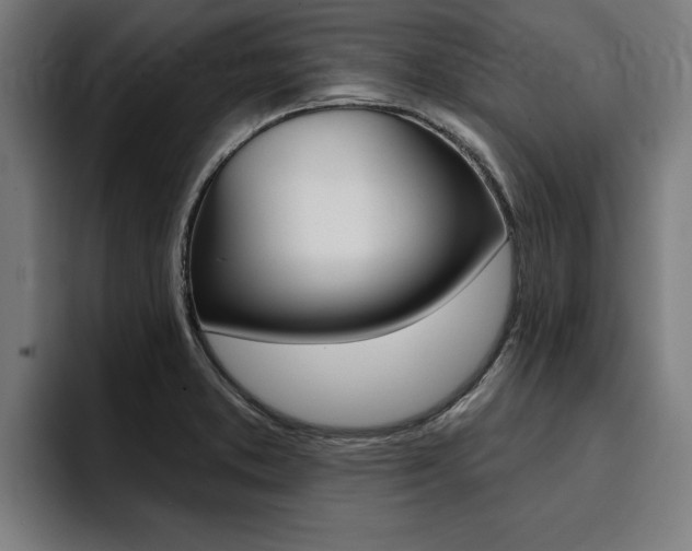 X0000094421373200711080950