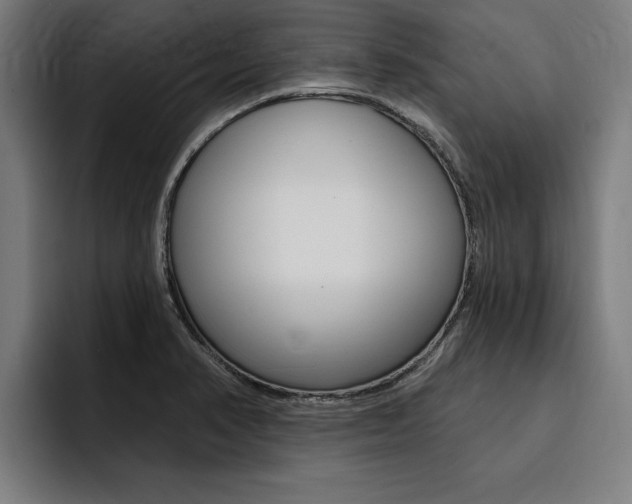 X0000094421374200711080950