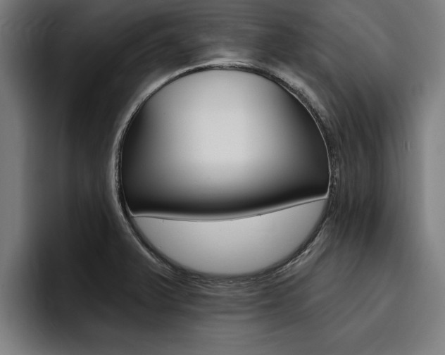 X0000094421375200711080950
