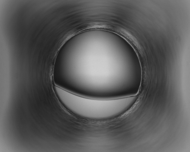 X0000094421377200711080950