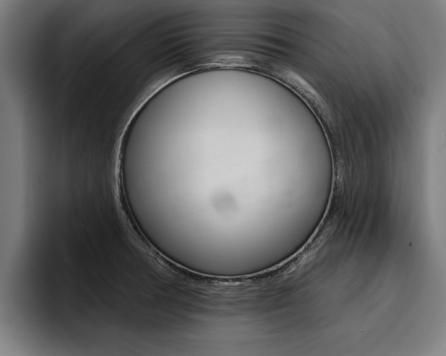 X0000094421378200711080950