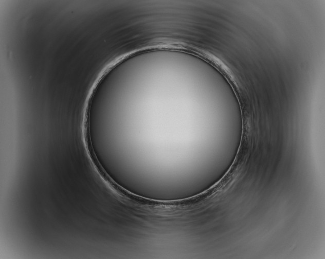 X0000094421379200711080950