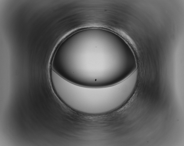 X0000094421380200711080950