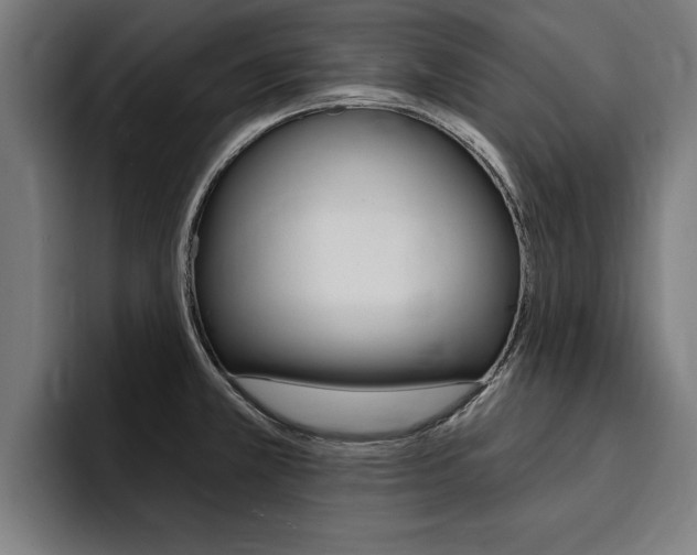 X0000094421381200711080950
