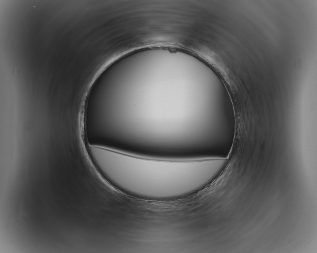 X0000094421383200711080950