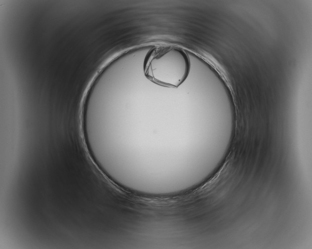 X0000094421384200711080950