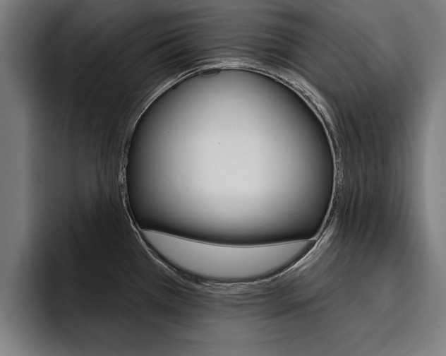 X0000094421385200711080950