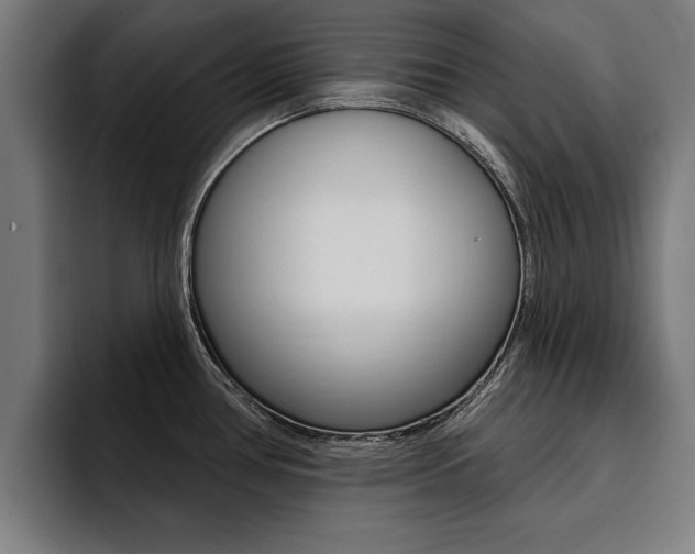 X0000094421386200711080950