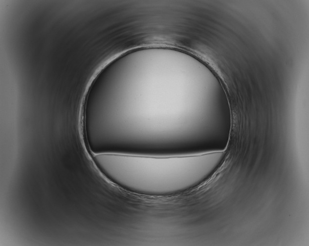 X0000094421387200711080950