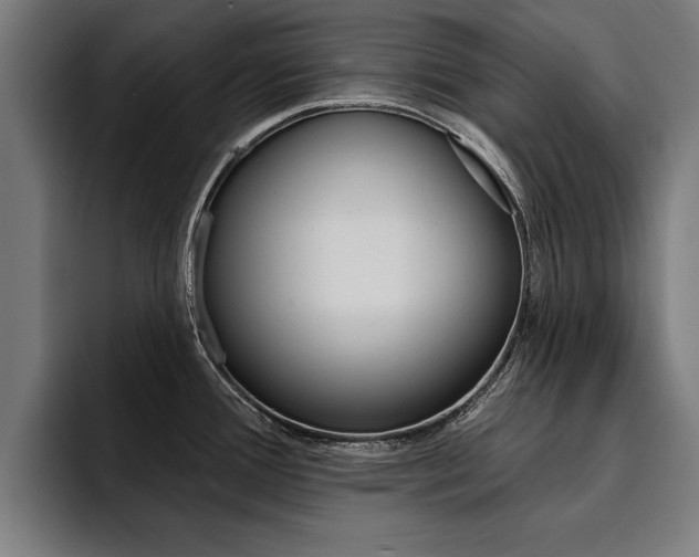 X0000094421388200711080950