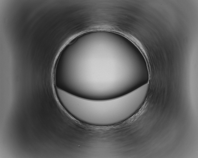 X0000094421389200711080950