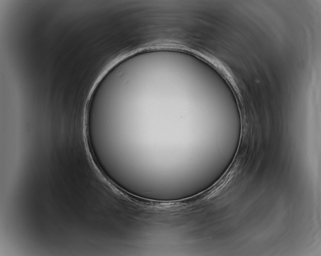 X0000094421390200711080950