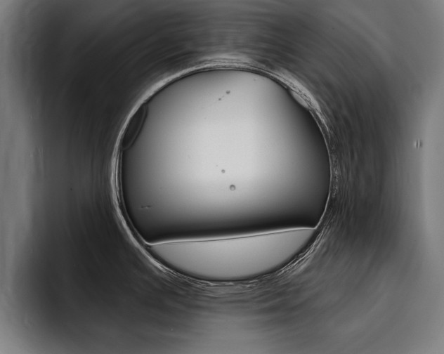 X0000094421391200711080950