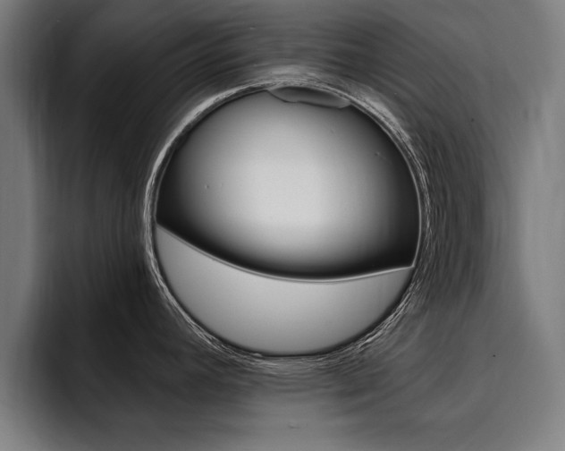 X0000094421392200711080950