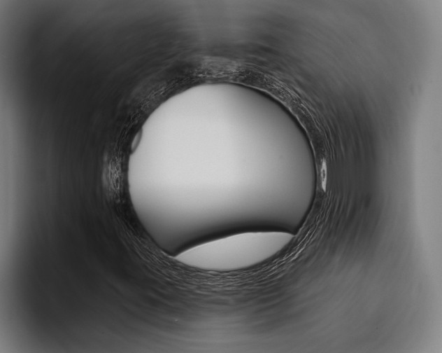X0000094421395200711080949