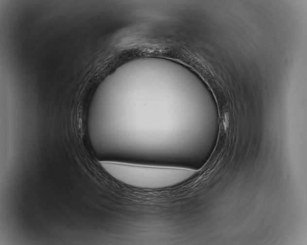 X0000094421396200711080949
