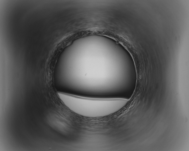 X0000094421398200711080949