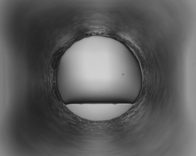 X0000094421399200711080949
