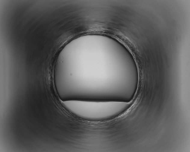 X0000094421401200711080949