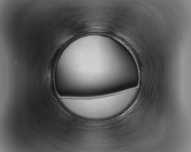X0000094421402200711080949