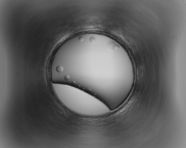 X0000094421405200711080949