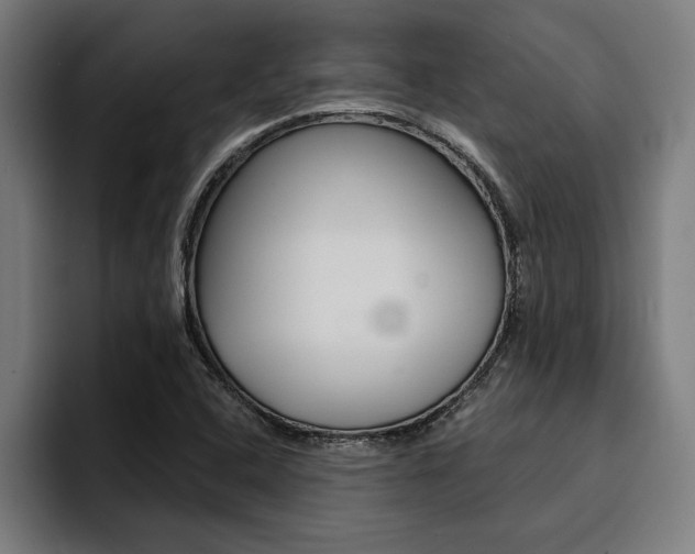 X0000094421408200711080949