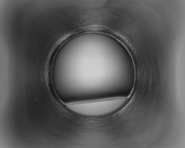 X0000094421410200711080949